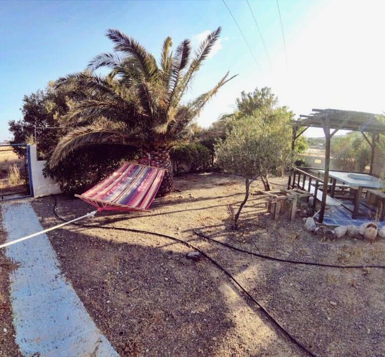 Adonis Villa コウトソウナリ エクステリア 写真